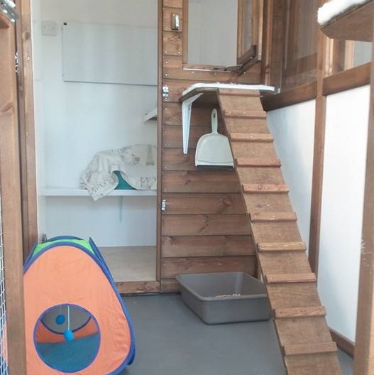 CIEH approved cat pen at Hickstead Lodge Cattery