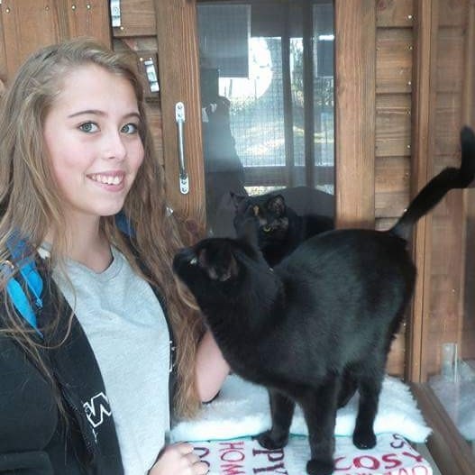 Georgia and Black at Hickstead Lodge Cattery