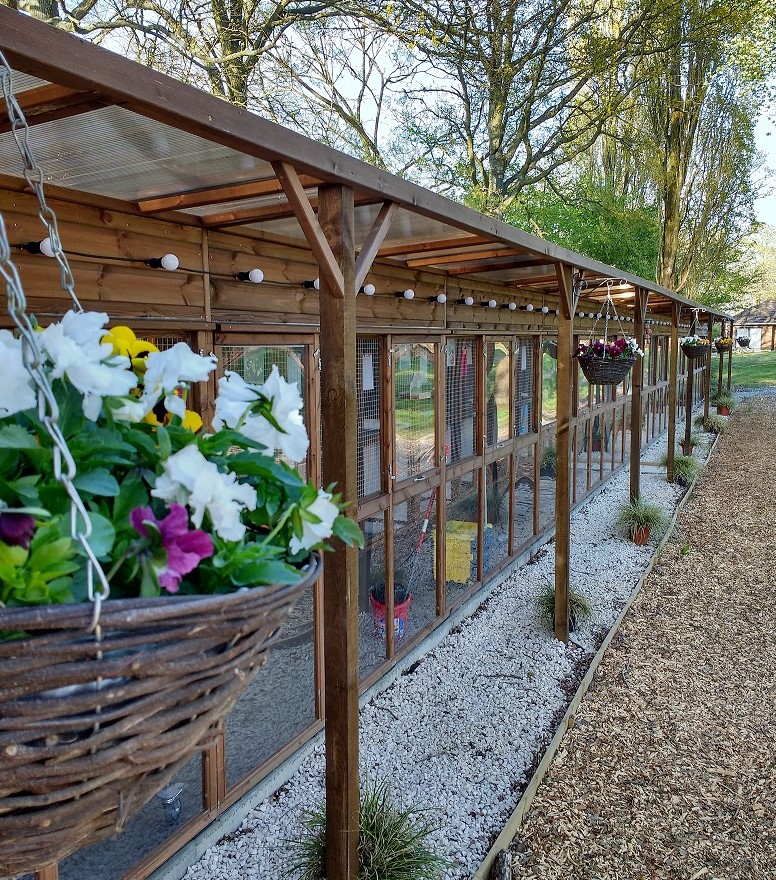 Construction of the office at Hickstead Lodge Cattery